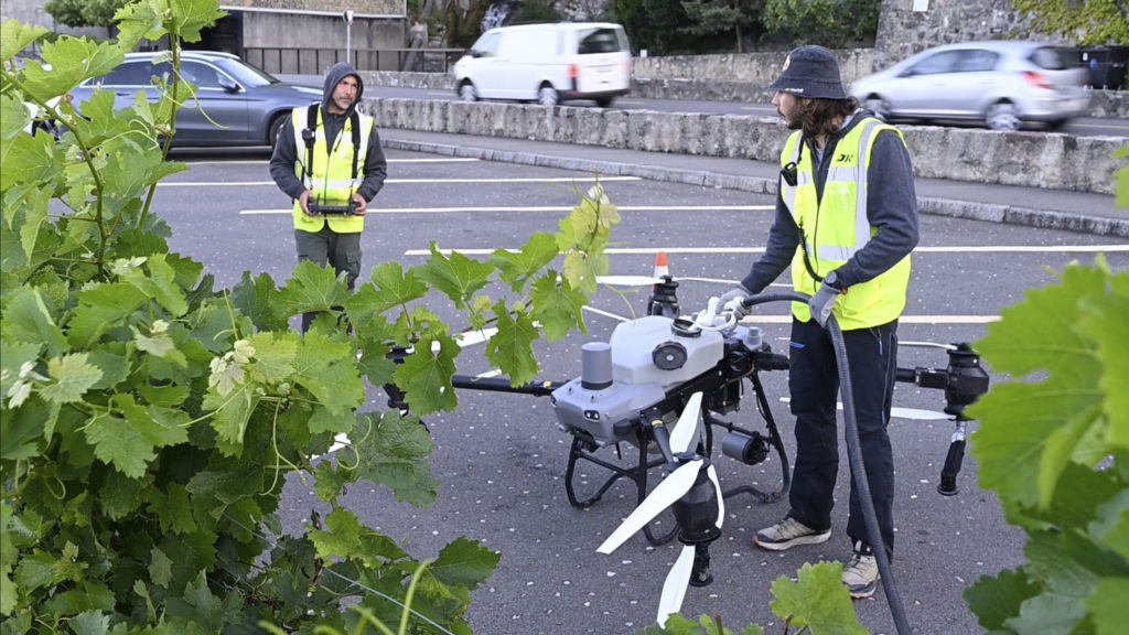 Deux employés remplissent un drone agricole DJI T50 devant des vignes, sur un parking urbain.