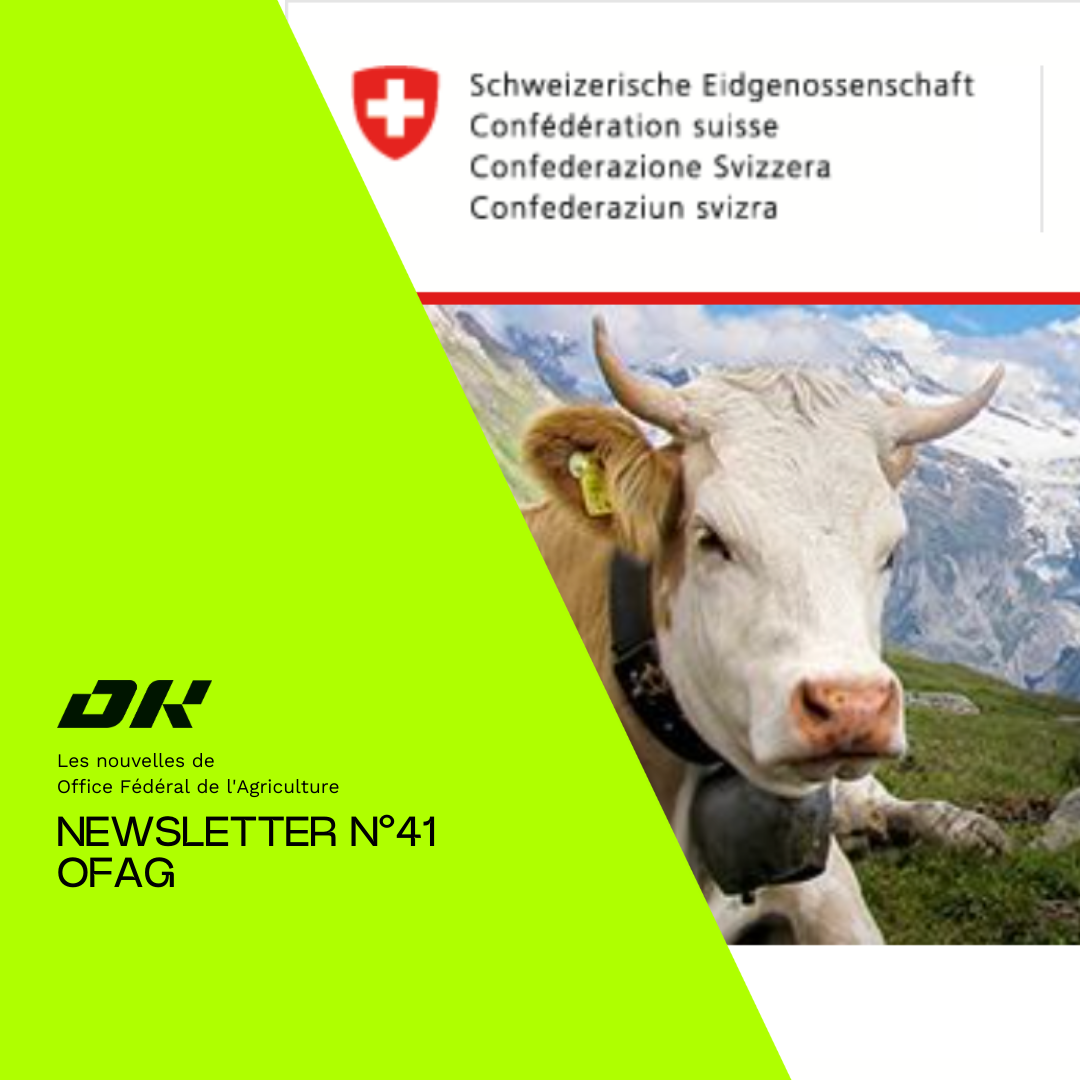 Image représentant une vache dans les montagnes suisses, illustrant les enjeux de durabilité et d’innovation agricole abordés dans la Newsletter N°41 de l’Office Fédéral de l’Agriculture.